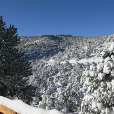 Bigsnow 2006 12 29 A P1000328