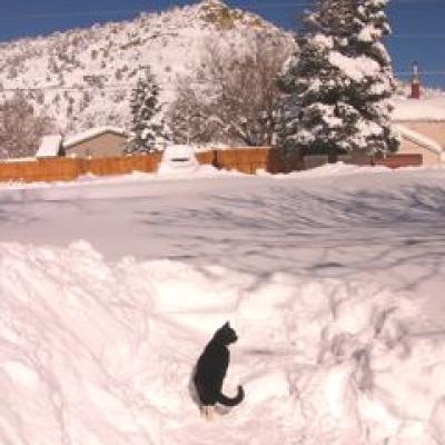 Bigsnow 2006 12 29 A Trinidad04